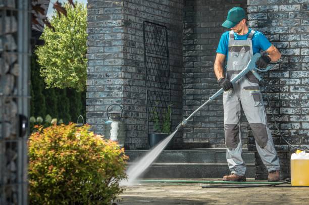 Best Soft Washing for Delicate Surfaces in Pine Grove, PA