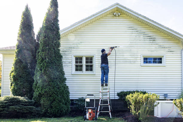 Best Building Exterior Pressure Washing in Pine Grove, PA